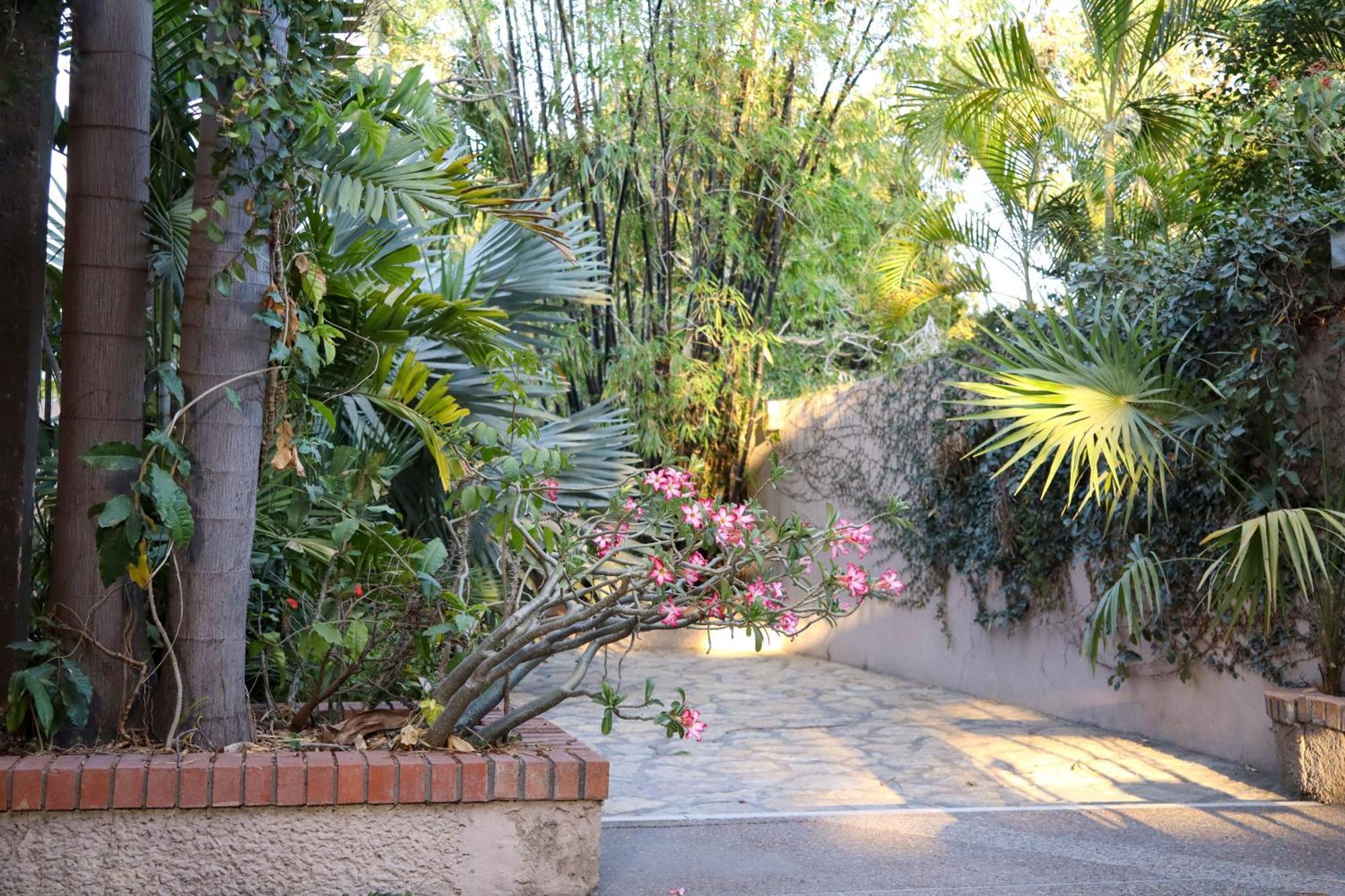 Hotel Casa Ortiz Ciudad Valles Εξωτερικό φωτογραφία
